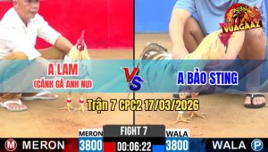 Trận 7 CPC2 17/03/2026 - Bướm Idol Đá Cây Lọt Tim Anh Nu Oí Chết Tuyệt Đối Chấp 1 Chấm Đá Lọt Cây Điều Tai Biến Té