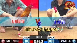 Trận 8 CPC2 17/03/2026 - Điều Bay Đạ Cây Lọt Đâm Bướm Oí Chết