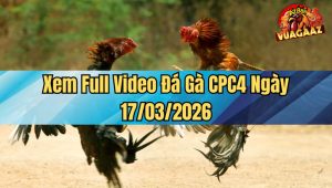 Xem Full Video Đá Gà CPC4 Ngày 17/03/2026