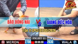 Trận 11 CPC3 07/03/2026