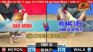 Trận 16 CPC2 06/03/2026