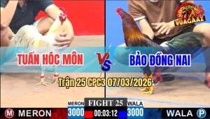 Trận 25 CPC3 07/03/2026
