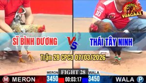 Trận 28 CPC3 07/03/2026