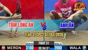 Trận 31 CPC2 07/03/2026