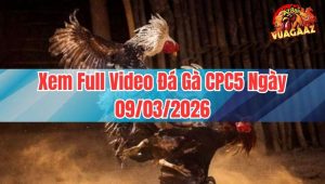 Xem Full Video Đá Gà CPC5 Ngày 09/03/2026