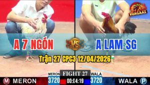 Trận 27 CPC3 12/04/2026 - Bướm Quá Lẹ  Xám Thấm Cựa Hết Sửa