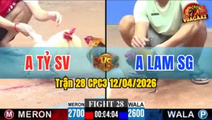 Trận 28 CPC3 12/04/2026 - Điều Đâm Bướm Hết Đường Buông Chạy